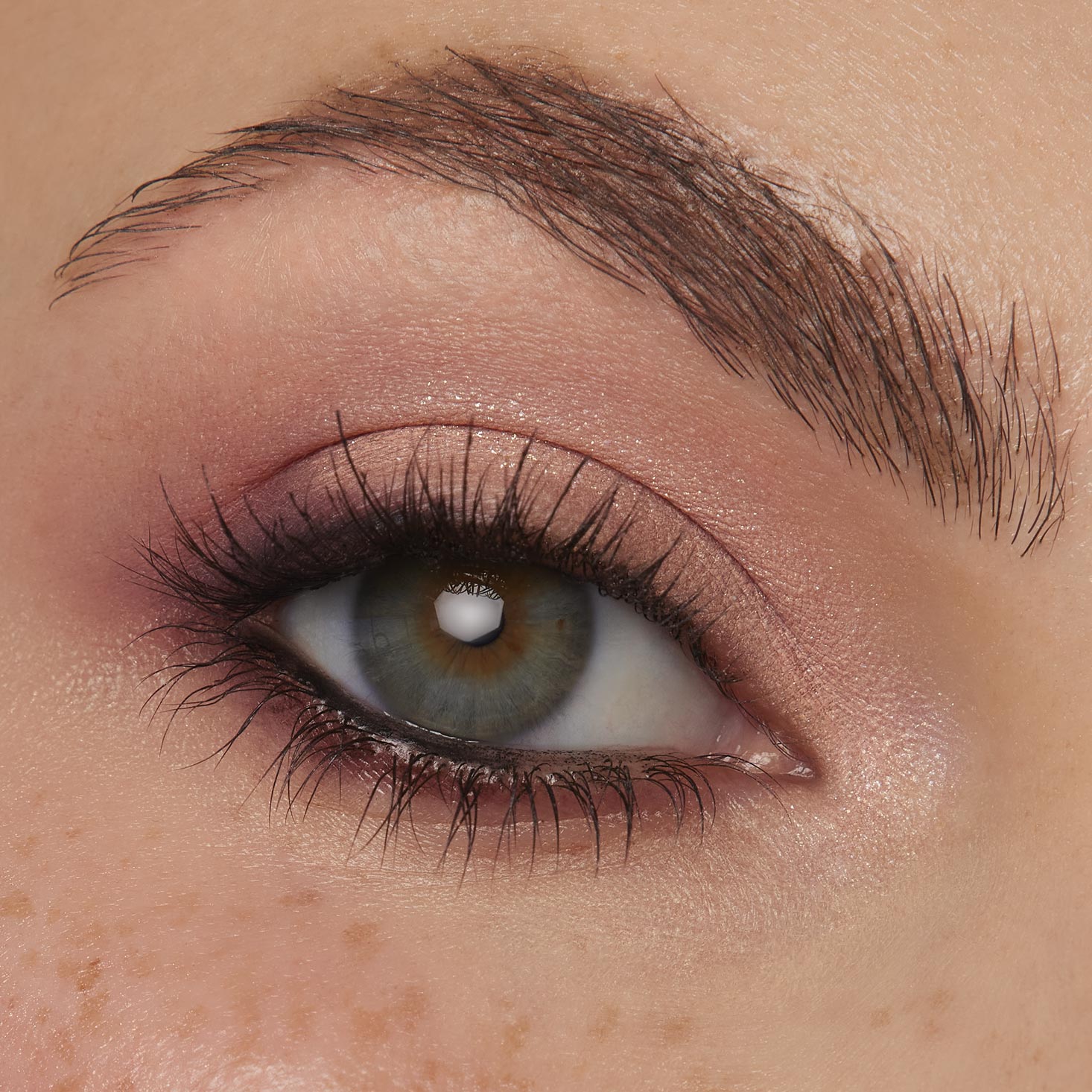 Coconut BB - Fresh Iconic Beauty Capsule