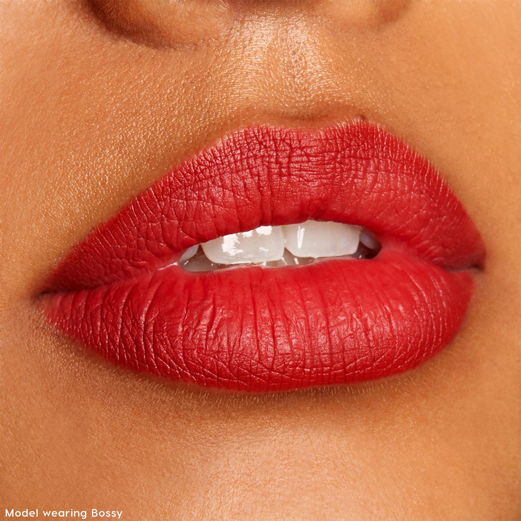 The Lil Box of Lippie Pencils - Curated Limited Lip Veil