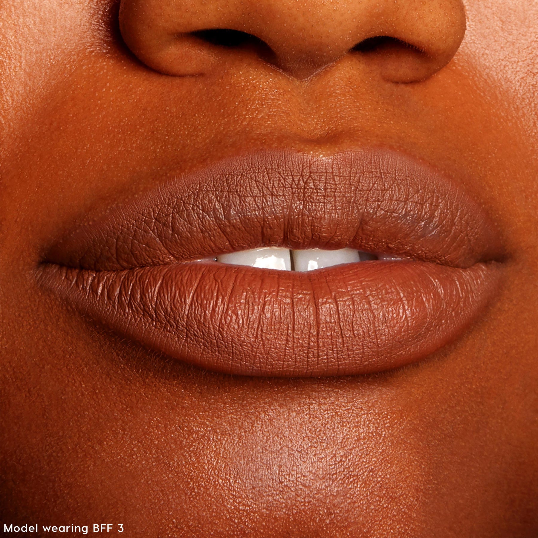 The Lil Box of Lippie Pencils - Curated Limited Lip Veil