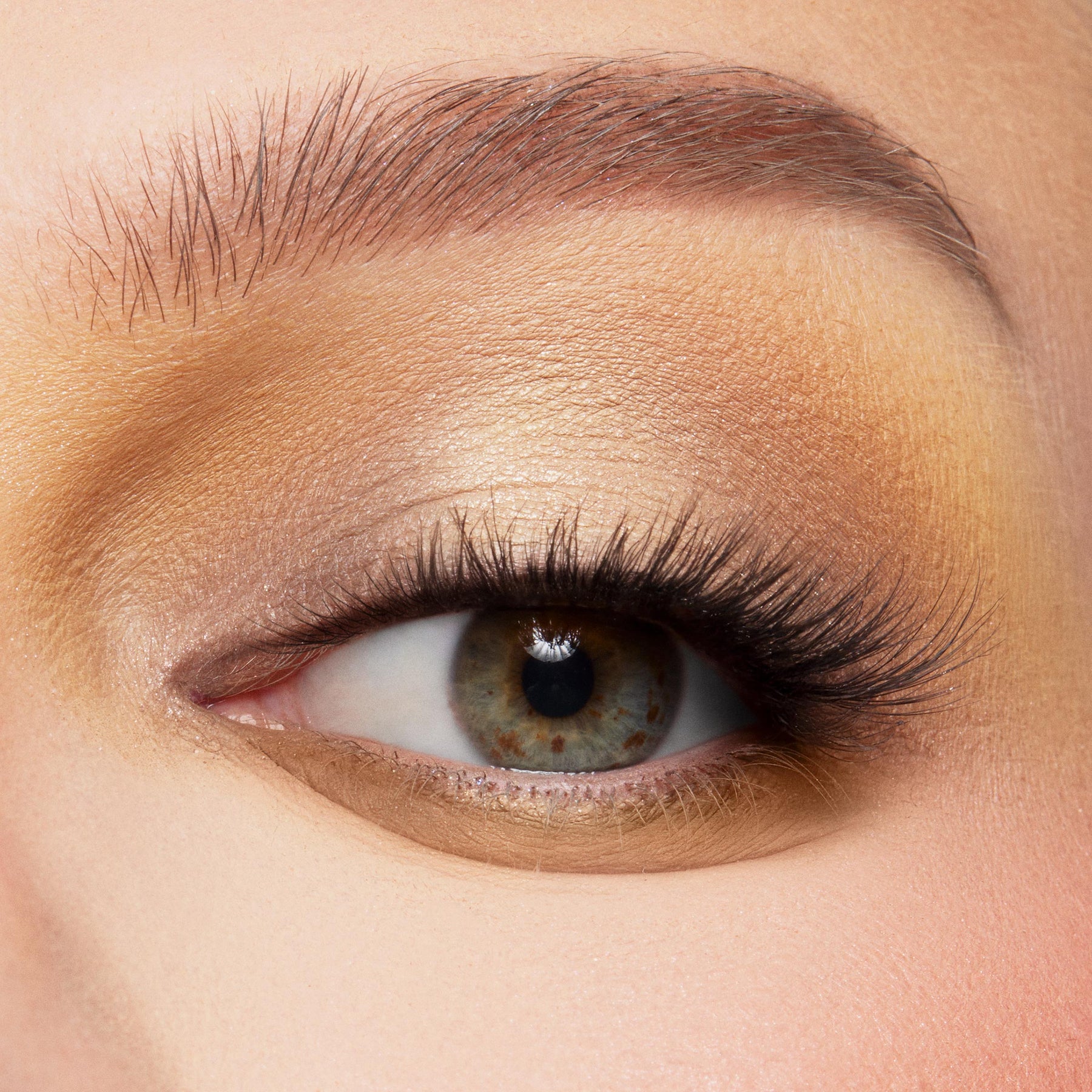The Toys Are Here - Radiant Daytime Eye Duo