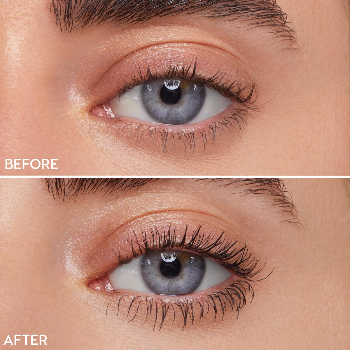 Brown - Expressive Effortless Lash Kit