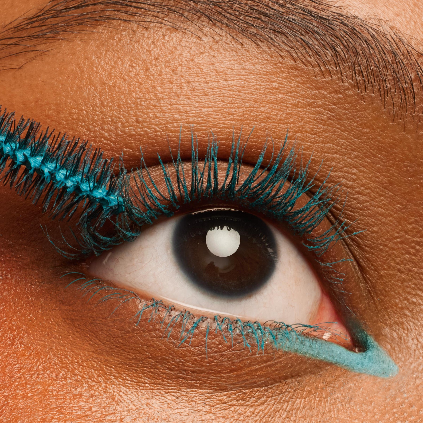 Swell Season - Artful Curated Lash Selection