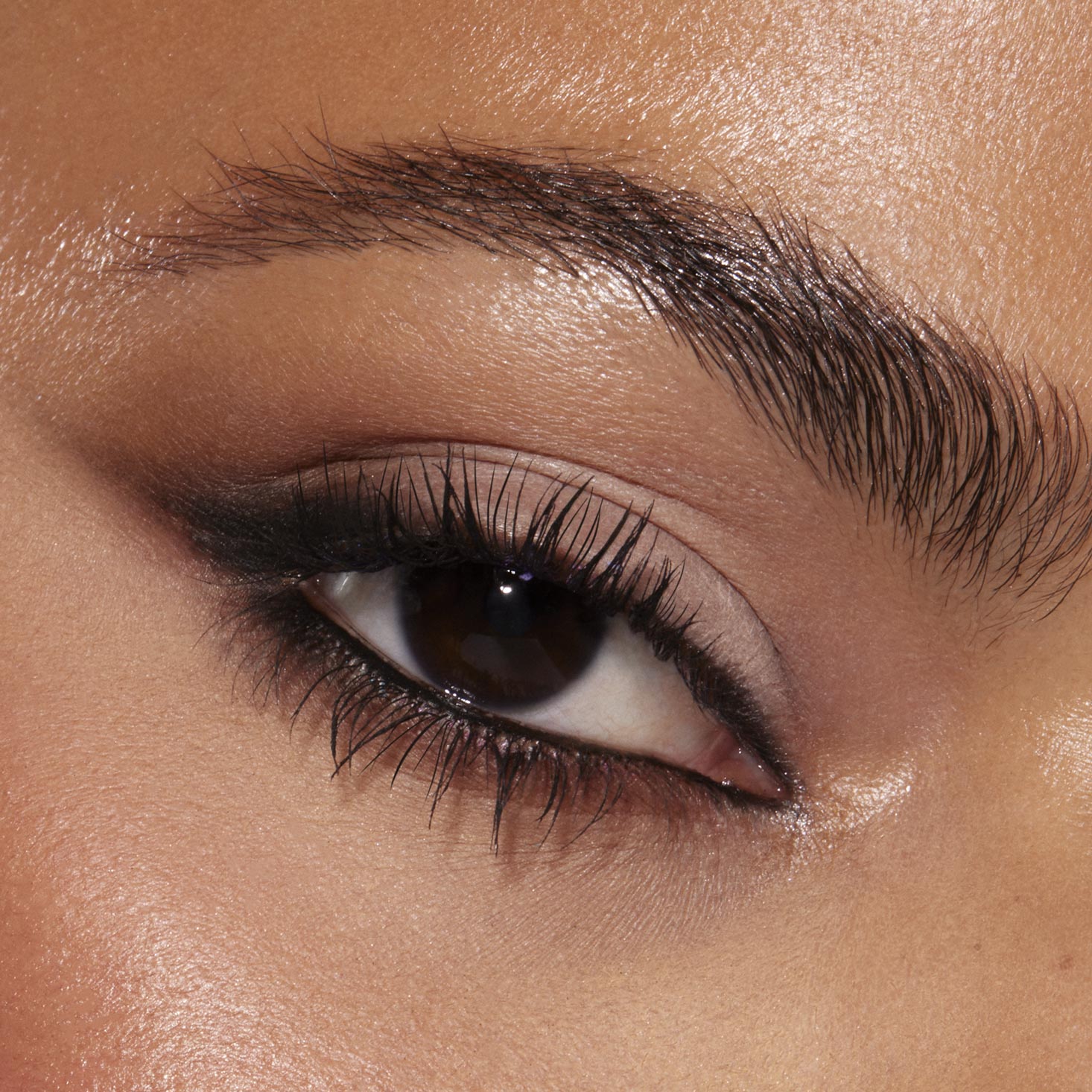 Stone Cold Fox - Dreamy Contemporary Eye Focus