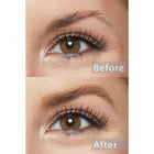 Black N' Brown Pencil - Rich Festive Brow Shape