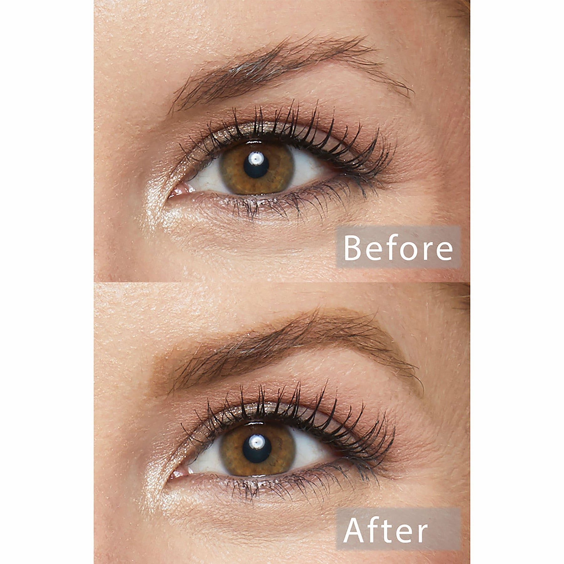 Black N' Brown Pencil - Rich Festive Brow Shape