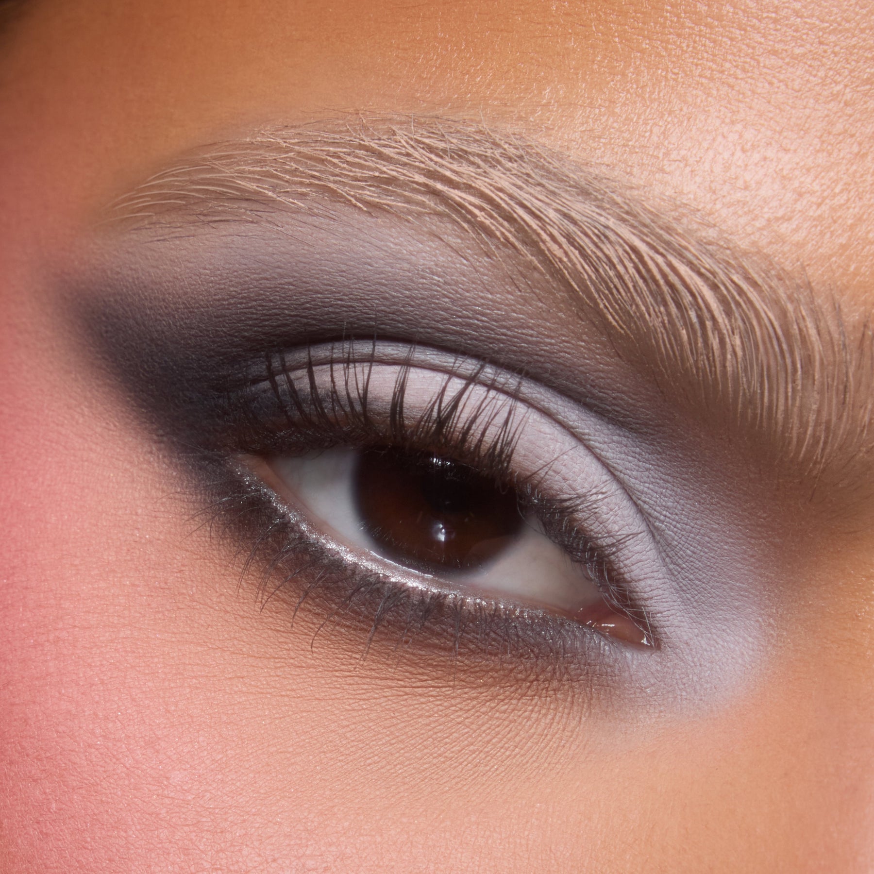 Silver Lining - Curated Seasonal Eye Collection