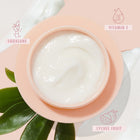The Daily Face Cream - Seamless Morning Skin Kit